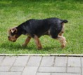 /album/fotogaleria/uz-je-na-dvore-jpg/